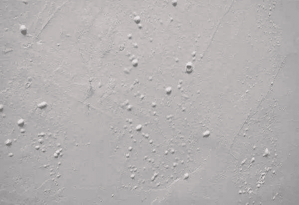 膩子粉消泡劑的應用場景